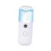 DRESSOOS Mini Face Humidifier 1pc Portable Humidifer Nano Facial Mister Handheld Humidifiers Mist Sprayer Tool Spa Facial Water