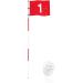 TRUE Golf Flagsticks Flags Hole Pole Cup Set - Portable 5 Section Practice Golf Pin Pole Flags - Buy Online on GoSupps.com