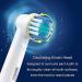 8 Pack Toothbrush Heads for Oral-B Braun Electric Toothbrushes Family Pack Precision Clean Replacement Toothbrush Head by Dentia - Buy Online on GoSupps.com