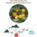 Chinese Walnut Kernels Fresh Peeled Linan Mountain Walnuts Kernels Walnut Meat Net 160g (Original) - Buy Online on GoSupps.com