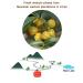 Buy Chinese Peeled Walnuts - Fresh Lin'an Walnut Kernels 170g | Creamy 1 Pack - Premium Quality - Buy Online on GoSupps.com