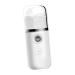 WOONEKY Hydrating Instrument Facial Mister Handy Mist Sprayer Nano Face Steamer Nano Mist Sprayer Abs White