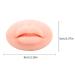 3D Lip Practice Skin - Silicone Lip Model for Makeup Training & Fake Piercings | International Shipping - Buy Online on GoSupps.com