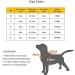 PETTOM Dog Bathrobe Towel - Microfiber Water Absorbent Drying Coat for Large Dogs - Green - L 60cm Back Length - Buy Online on GoSupps.com