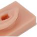 Flexible Soft Fake Human Ear Model for Earrings Display and Acupuncture Training - Dark Complexion - Buy Online on GoSupps.com