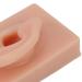 Reusable Human Ear Model - Dark Skin Color for Acupuncture & Headphone Display - Buy Online on GoSupps.com