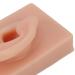 Realistic Dark Skin Silicone Human Ear Model for Acupuncture Training - Reusable & Flexible Right Ear Display - Buy Online on GoSupps.com