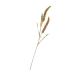 Alipis 3pcs Simulated Ears of Corn Dried Grasses Bundle Home D cor Dried Millet Home Accessories Decor Faux Plants Artificial Plant Home Decor Millet Decor Paddy Artificial Grass Iron Greenx3pcs 12X75CMx3pcs
