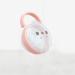 VAILANG Baby Pacifier Storage Box - Cartoon Panda Pattern Transparent Dust-Proof & Portable Nipple Organizer - Buy Online on GoSupps.com