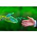 Buy Biohy Floor Cleaner for Wiping Robots - Fresh Spring Fragrance 9x1L Concentrate Eco-Friendly & Streak-Free - Buy Online on GoSupps.com