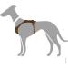 HUNTER Aalborg Dark Brown Leather Dog Harness - ML/1 | Premium International Shipping - Buy Online on GoSupps.com