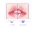 She Loves Day & Night Moisturizing Lip Balm - 2 Pack, Anti-Cracking, Nourishing & Hydrating Lip Care - 10g - Buy Online on GoSupps.com