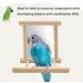 NINGVIHE Bird Mirror Bird Swing Parrot Cage Toys Bird Toy for Parrot Parakeets Conures Cockatiels Cage Swing Wooden Fun Play Toy for Birds (2 PACK) - Buy Online on GoSupps.com