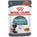 Royal Canin Hairball Care Cat Food in Gravy 85g Wet Pouch (Pack of 12) - Buy Online on GoSupps.com