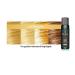 Rita Hazan Ultimate True Color Shine Gloss - Deep Conditioning Hair Gloss Treatment - 3.4 oz - Buy Online on GoSupps.com