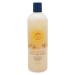 B a Vida Deodorizing Citrus Plus Elder Shampoo and Body Wash  Soap Made with Persimmon to Treat the Presence of Nonenal and Remove Old Person Smell Naturally  16 oz