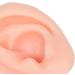Practice Ear Model Soft Elastic Jewelry Display 1 Pair Ear Model for Beginner for Piercing Salon(Light Skin Color) - Buy Online on GoSupps.com