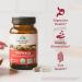 Triphala Herbal Supplement - Digestive & Immune Support Antioxidant-Rich Vegan Non-GMO - 90 Capsules + Measuring Spoon | Pack of 3 - Shop Internationally - Buy Online on GoSupps.com