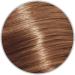 Wella Professionals Illumina Permanent Haircolor Number 8/38 - Buy Online on GoSupps.com