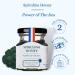 Spirulina Honey by Les Abeilles de Malescot - 4.4 oz | Natural Immune Support & Nutrient Rich - Buy Online on GoSupps.com