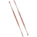 2 pcs Earwax Removal Tool Ear Cleaning Tool Stainless Steel Earwax Removal Tool Spiral Ear Pick Canal Cleaner Ear Wax Removal Kit Ear Wax Remover Rose Gold Durable and Deft
