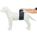 Shop Trixie Belly Band for Male Dogs - Size L (55-65 cm) | Comfortable & Secure Solutions for Pet Parents - Buy Online on GoSupps.com