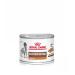 Royal Canin Gastrointestinal Low Fat Mousse |12 x 200 g |Diet all-in feed for adult dogs |Can contribute to the support of healthy digestion