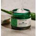 The Body Shop Aloe Soothing Day Cream 1.7 oz - Vegan Moisturizer for Sensitive Skin - Buy Online on GoSupps.com