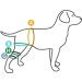 Walkabout canine knee brace (MedLarge Right) - Buy Online on GoSupps.com