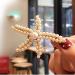 Mermaid Pearl Starfish Hair Clips - Set of 2 | Wedding & Party Hair Accessories - Buy Online on GoSupps.com