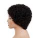 Boccte Afro Wig - Curly Short Human Hair Wigs for Black Women | Brazilian Natural Black No Cap Needed - Buy Online on GoSupps.com