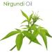 Nirgundi (Vitex negundo) 100% Natural Essential Oil - Pure Undiluted Cold Pressed Aromatherapy Premium Oil - Therapeutic Grade - 15 ML with Dropper Nirgundi 15 ML with dropper - Buy Online on GoSupps.com