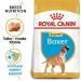 ROYAL CANIN Boxer Puppy 30 Dry Mix 3 kg - Buy Online on GoSupps.com