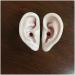 Simulation Silicone Ear Model - Soft Silicone Ear Model for Acupuncture Ear Picking Piercing Practice Training Ear Model Ear Learning Props
