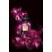 Victoria's Secret Bombshell Oud Eau de Parfum Notes of Spice Pink Saffron & Peony Perfumes for Women (1.7 oz) Bombshell Oud 1.7 Fl Oz (Pack of 1) - Buy Online on GoSupps.com