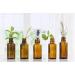 Bergamot Mandarin Essential Oil - 100% Pure Aromatherapy Grade - Nature's Note Organics - 0.3 Fl Oz | International Shipping Available - Buy Online on GoSupps.com