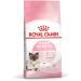 Royal Canin Mother & Babycat Dry Cat Food 3 x 400g - Buy Online on GoSupps.com