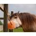 Horses Lick Natural Pink Salt Natural shape salt with strong hanging Rope | Suitable for all Animals | 1-2KG - Buy Online on GoSupps.com