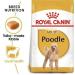 Royal Canin Poodle 1.5kg - Buy Online on GoSupps.com