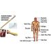 HINTER Bamboo Massage Hammer Sticks - Natural Wooden Handle Massager for Relaxation & Fitness | Eco-Friendly Health Tool - Buy Online on GoSupps.com