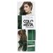 L'Oreal Paris Colorista Washout Green Semi-Permanent Hair Dye 80ml Green 1 Count (Pack of 1)
