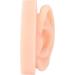 Silicone Ear Model - Durable & Portable Relaxation for Home Office & More | Shop Now! - Buy Online on GoSupps.com