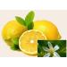 Buy Small Moments Citrus Flower Sauna Infusion - 500ml Concentrate for Home & Professional Use - Drip Closure & Child Lock - Buy Online on GoSupps.com