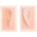 1:1 Life Size Silicone Human Ear Models - Left & Right for Educational Use | Perfect Teaching Kit - Buy Online on GoSupps.com