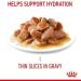 Royal Canin Hair & Skin Care Wet Cat Food in Gravy 48 x 85g - Buy Online on GoSupps.com