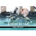 PURE ORIGINAL INGREDIENTS Ginkgo Biloba (365 Capsules) No Magnesium Or Rice Fillers Always Pure Lab Verified 365 Count (Pack of 1) - Buy Online on GoSupps.com