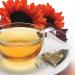 Revolution Tea Dragon Eye Oolong - Full Leaf Mesh Infuser - 20 Bags - Buy Online on GoSupps.com