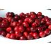 Water Away Supplement - Natural Diuretic Blend for Water Balance | Herbal Support Capsules (60 Caps - Buy Online on GoSupps.com