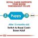 ROYAL CANIN Boxer Puppy 30 Dry Mix 3 kg - Buy Online on GoSupps.com