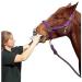 Duramectin Ivermectin Paste 1.87% Horse Wormer - 2 Tubes | Effective Parasite Control - Buy Online on GoSupps.com